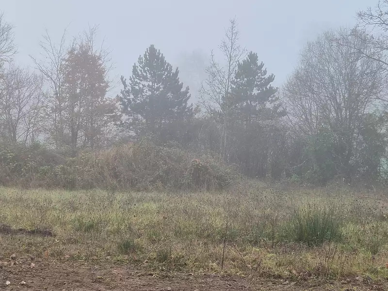 Terrain à bâtir, 392 m² - Saint-Antoine-du-Rocher (37360)