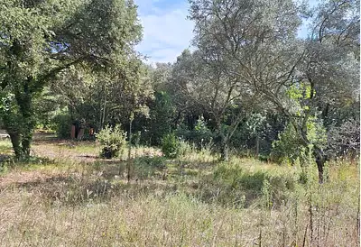 Terrain à bâtir, 1 160 m²