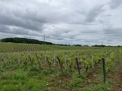 Maison neuve, 120 m²