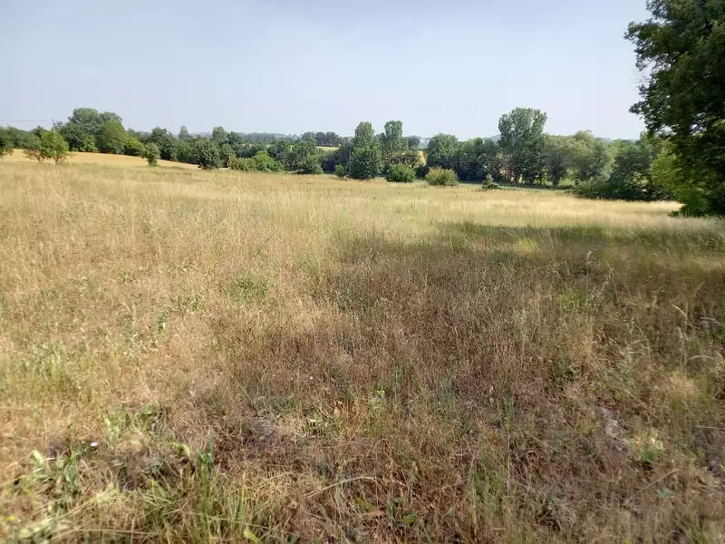 Terrain à bâtir, 840 m² - Blan (81700)