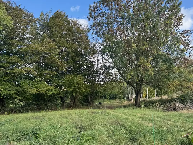 Terrain à bâtir, 533 m² - Ennevelin (59710)