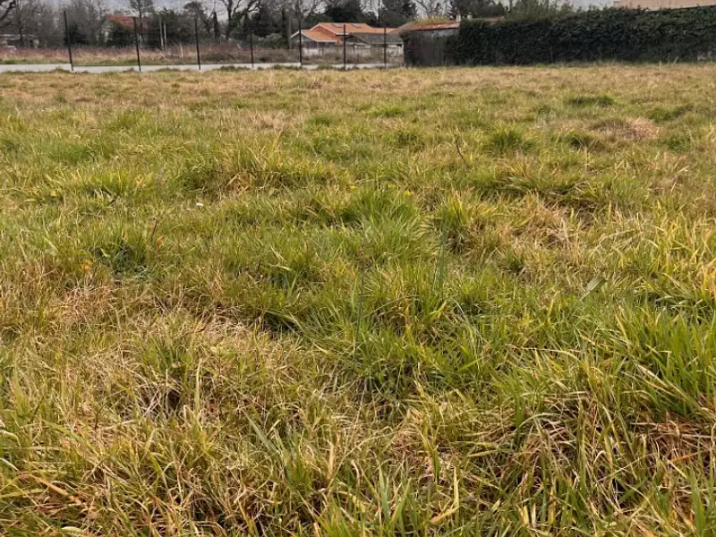Terrain à bâtir, 800 m² - Créon (33670)