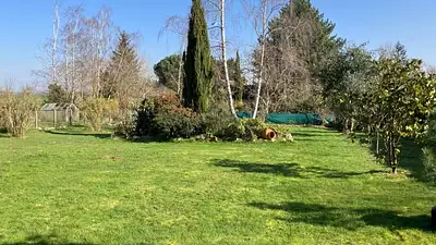 Maison neuve, 120 m²