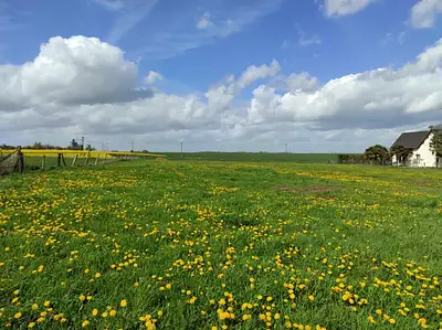 Terrain à bâtir, 700 m²