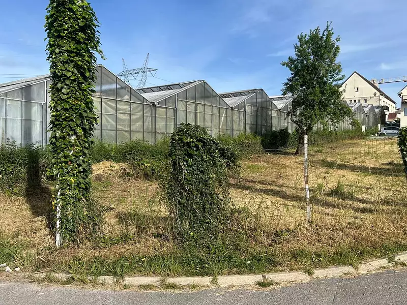 Maison neuve, 98 m² - Ollainville (91340)