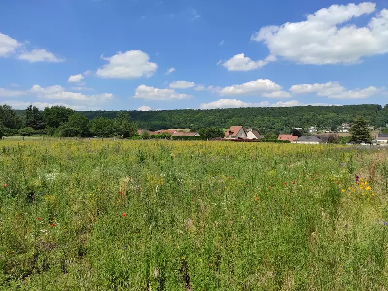 Maison neuve, 95 m² - Mézy-sur-Seine (78250)