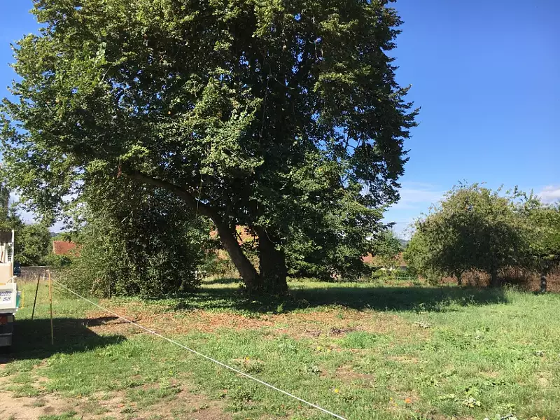 Maison neuve, 78 m² - Bazoches-sur-Guyonne (78490)