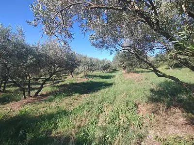 Terrain à bâtir, 2 640 m²