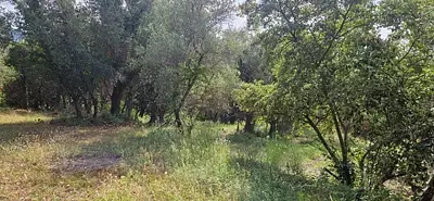 Terrain à bâtir, 1 980 m²