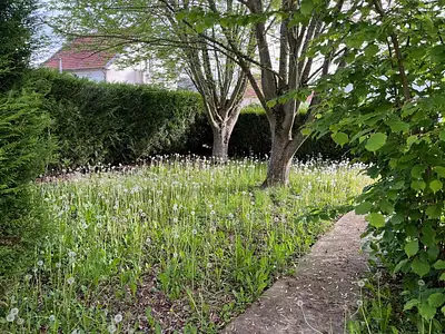 Maison neuve, 90 m²