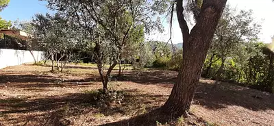 Terrain à bâtir, 800 m²