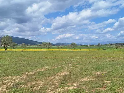 Maison neuve, 80 m²