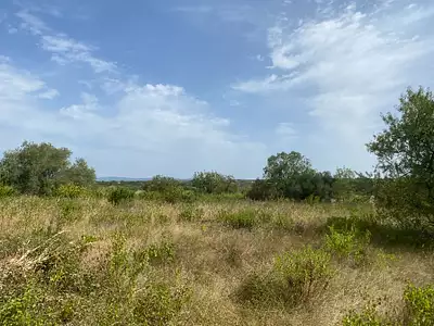 Maison neuve, 99 m²