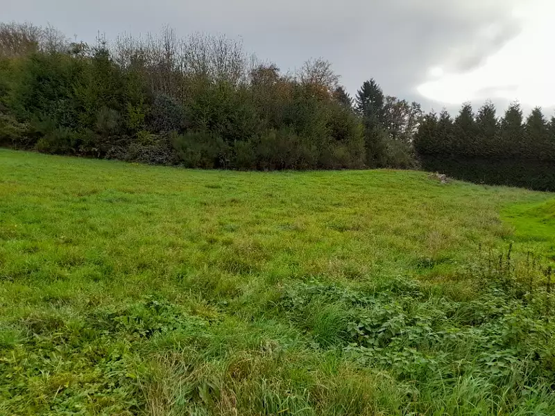 Maison neuve, 105 m² - La Brionne (23000)