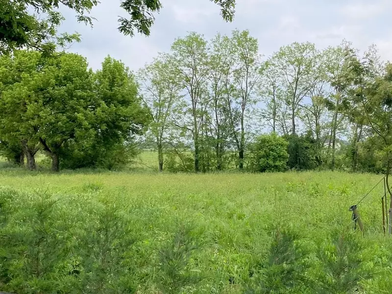 Terrain à bâtir, 1 300 m² - Virazeil (47200)