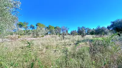 Maison neuve, 100 m²