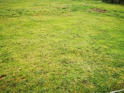 Maison neuve, 86 m²