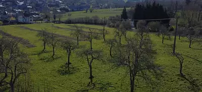 Maison neuve, 137 m²