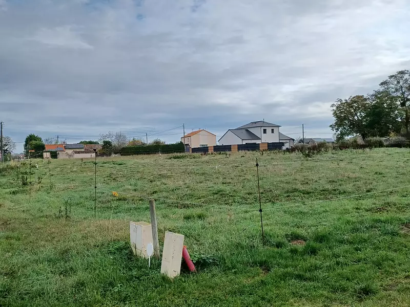 Terrain à bâtir, 738 m² - Saint-Macaire-du-Bois (49260)