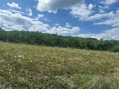 Maison neuve, 70 m²