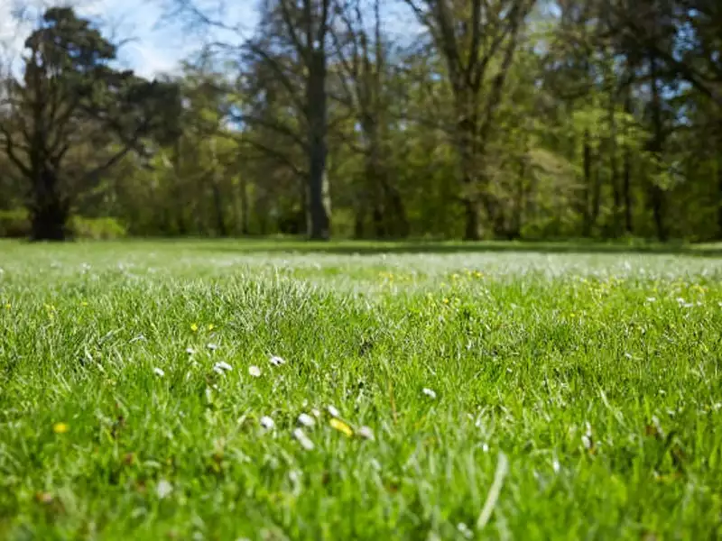Terrain à bâtir, 391 m² - Notre-Dame-d'Oé (37390)