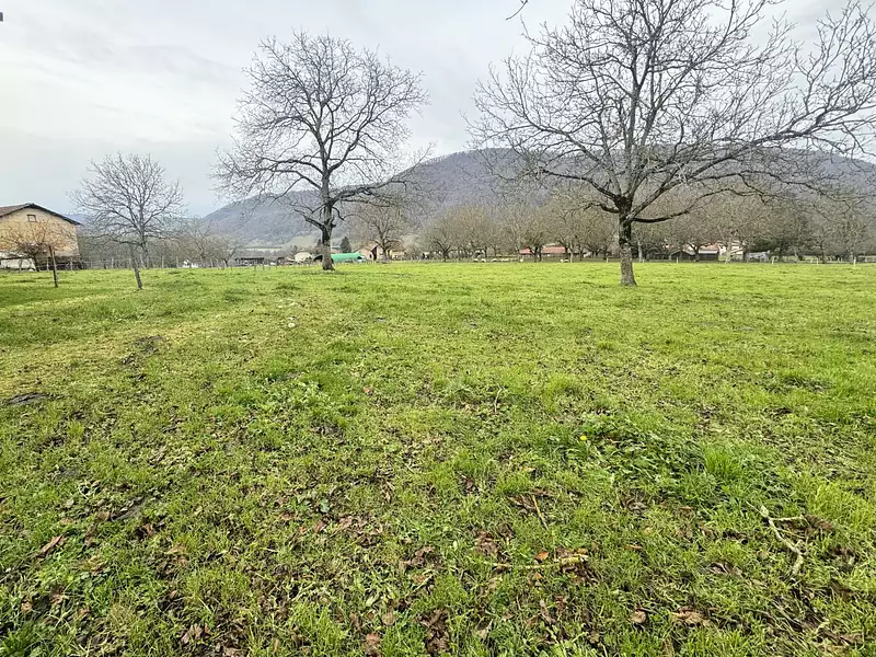 Terrain à bâtir, 800 m² - Massieu (38620)