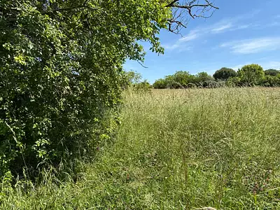 Maison neuve, 110 m²