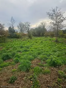 Terrain à bâtir, 1 200 m²
