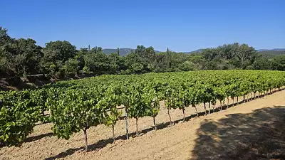 Terrain à bâtir, 540 m²