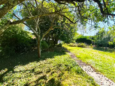 Terrain à bâtir, 300 m²