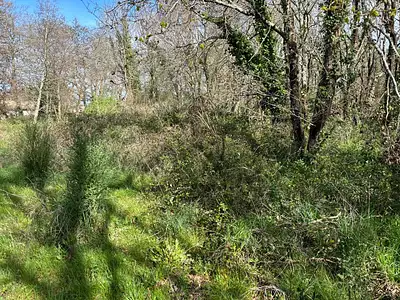 Maison neuve, 100 m²