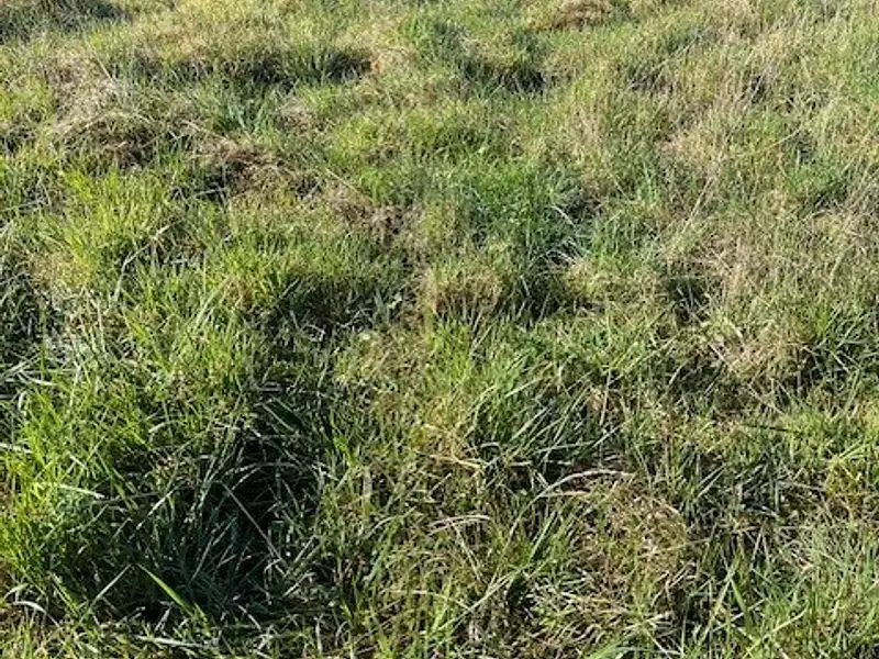 Terrain à bâtir, 391 m² - Migné-Auxances (86440)