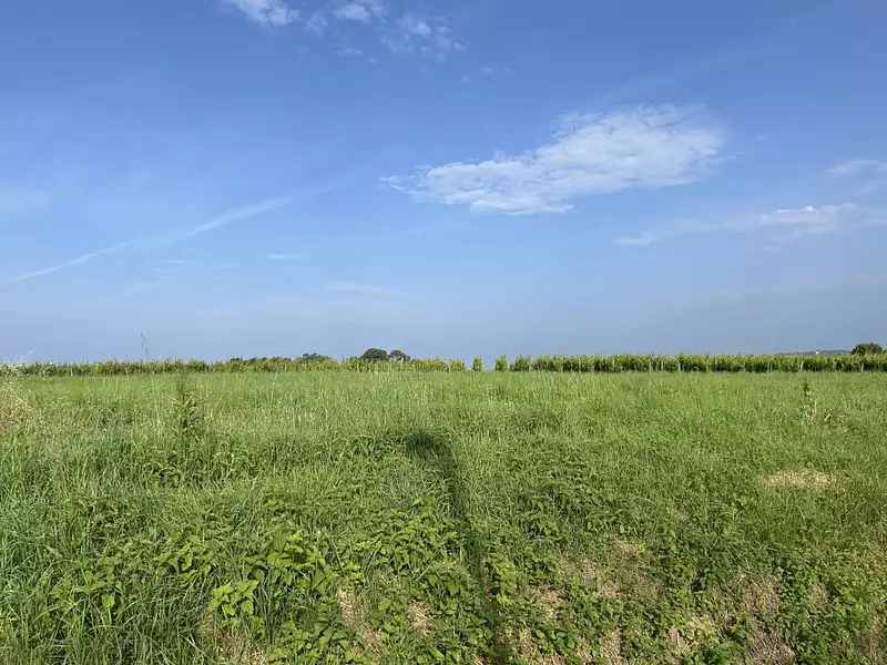 Terrain à bâtir, 1 156 m² - Landiras (33720)