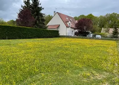 Terrain à bâtir, 1 000 m²