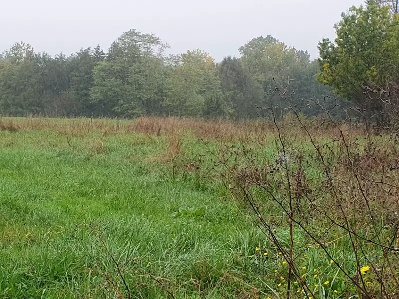 Terrain à bâtir, 730 m² - Tizac-de-Lapouyade (33620)