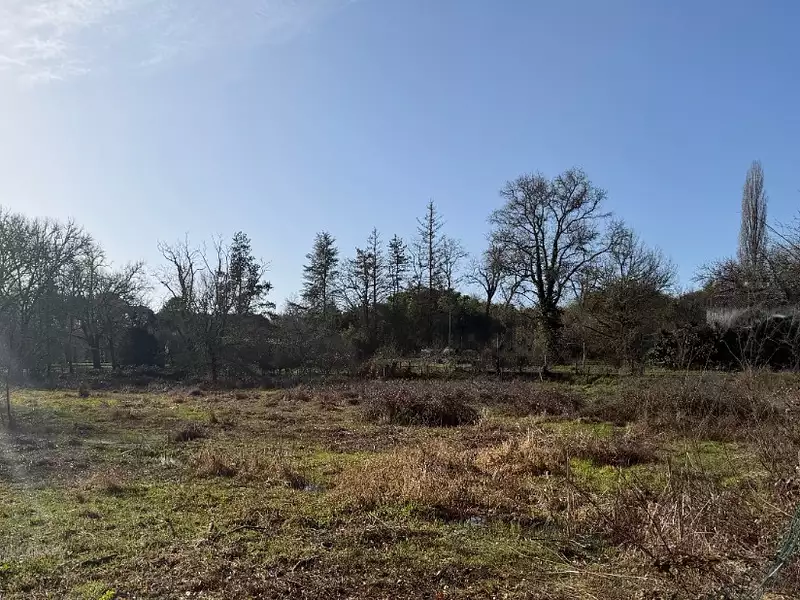 Terrain à bâtir, 1 200 m² - Noaillan (33730)