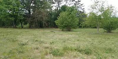 Terrain à bâtir, 1 600 m²