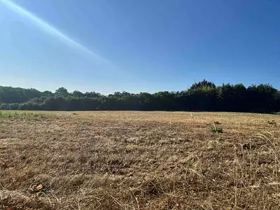 Terrain à bâtir, 1 800 m²