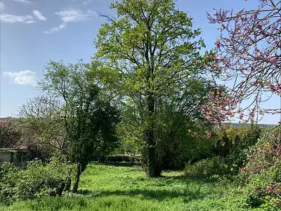 Terrain à bâtir, 580 m² - Samoreau (77210)