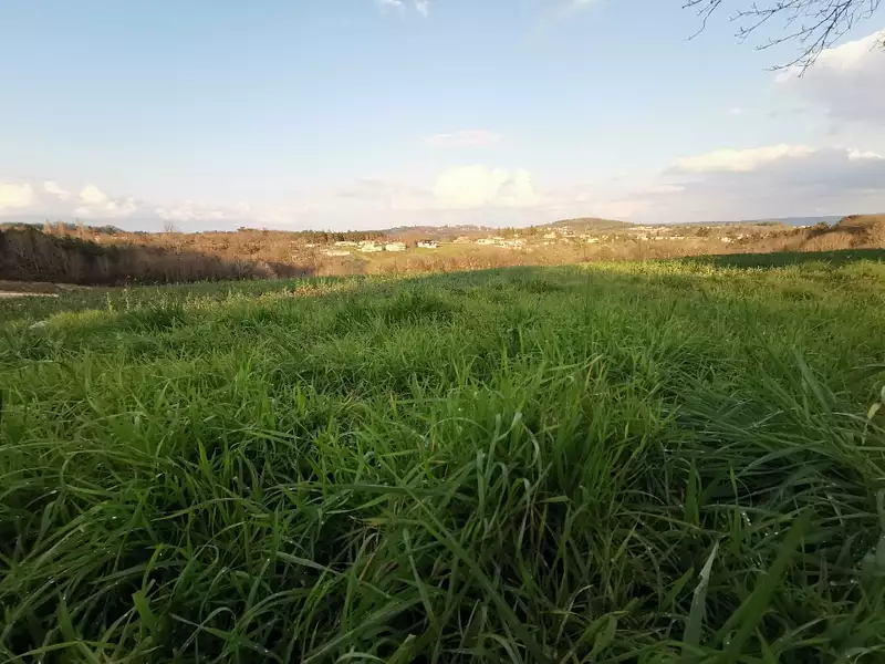 Maison neuve, 90 m² - Antonne-et-Trigonant (24420)