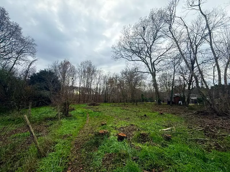 Terrain à bâtir, 1 500 m² - Saint-Selve (33650)