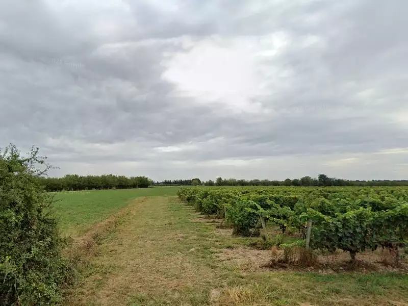 Terrain à bâtir, 417 m² - Terranjou (49380)