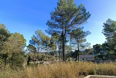 Maison neuve, 75 m²