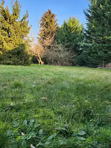 Terrain à bâtir, 498 m²