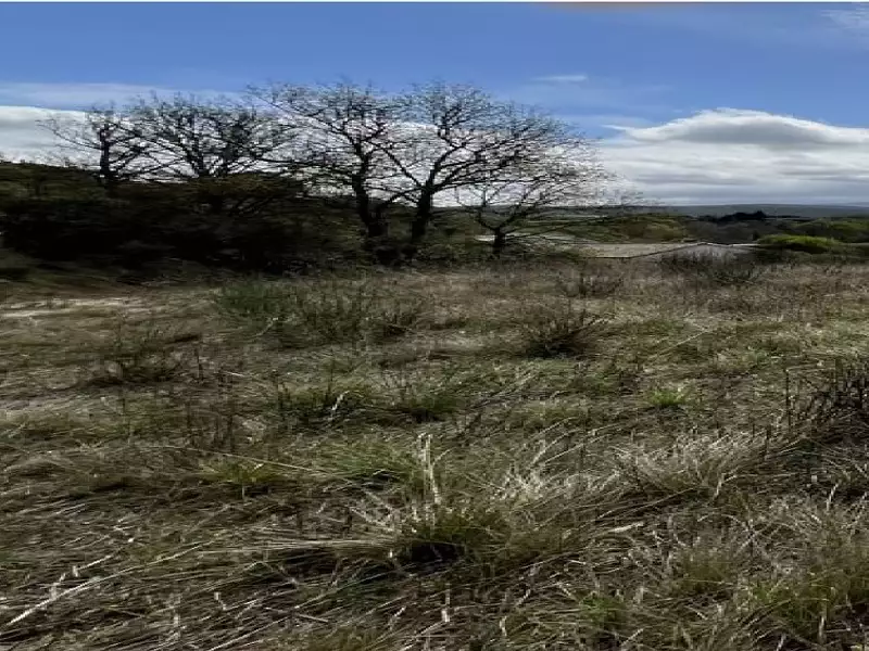 Terrain à bâtir, 2 050 m² - Saint-Martin-de-Villereglan (11300)