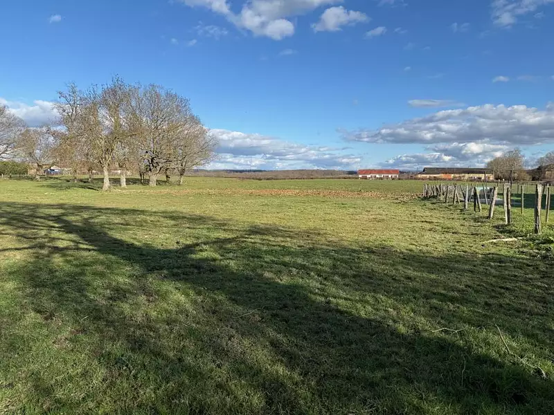 Terrain à bâtir, 2 000 m² - Chevroux (01190)