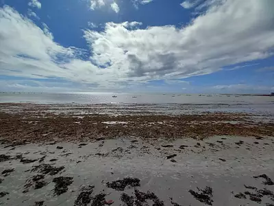 Terrain à bâtir, 2 000 m²