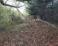 Maison neuve, 90 m²