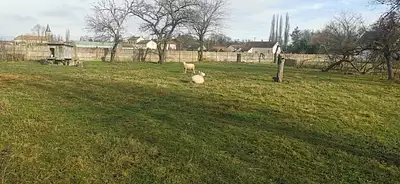 Terrain à bâtir, 1 100 m²
