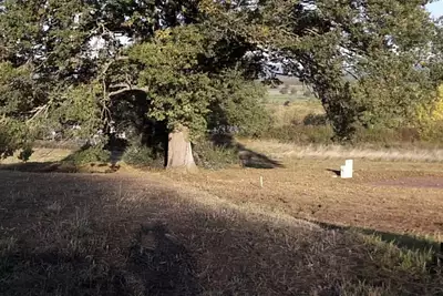 Terrain à bâtir, 553 m²